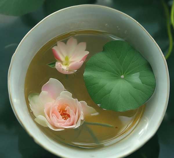 荷叶玫瑰茶养生效果揭秘，泡多久可见效？,玫瑰花加荷叶泡水，多久见效？揭秘美容养生的神奇功效！,玫瑰,养生,第1张